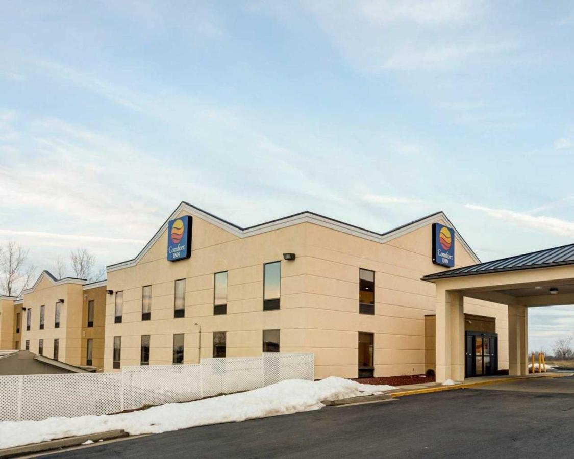 Comfort Inn Hamburg Area I-75 Lexington Exterior photo